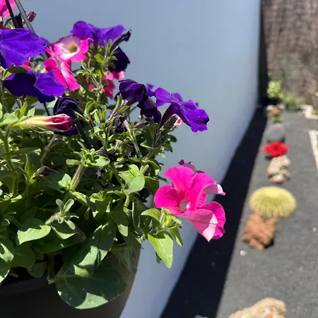 アパート Casa Cira *